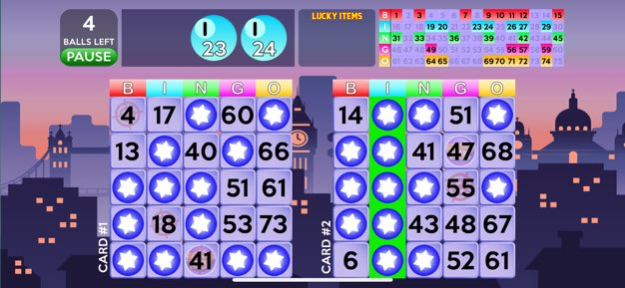 Bingo Deluxe 4.5 Screenshot