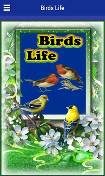 Birds Life  Screenshot