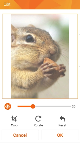 BIXOLON mPrint  Screenshot