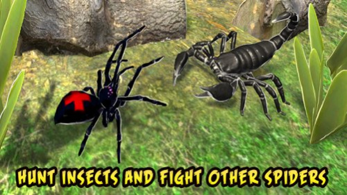 Black Widow Insect Spider Life Simulator  Screenshot