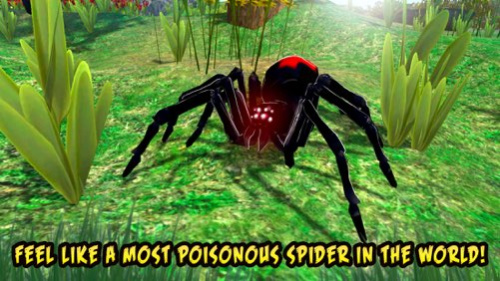 Black Widow Insect Spider Life Simulator  Screenshot