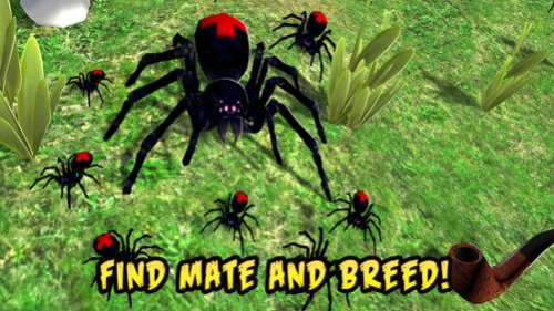 Black Widow Insect Spider Life Simulator  Screenshot
