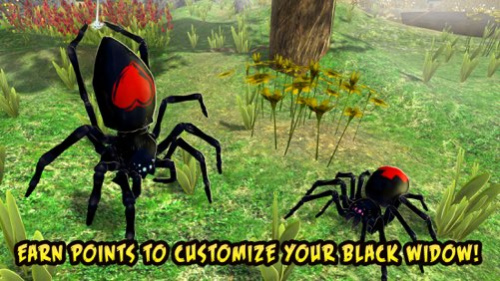 Black Widow Insect Spider Life Simulator  Screenshot