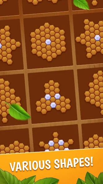 Block Hexa Classic 1.2.0 Screenshot