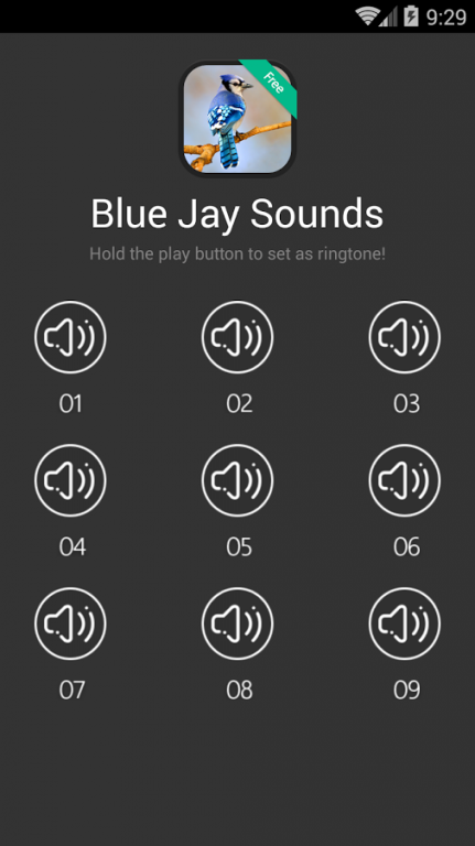Blue Jay bird sounds 1.3 Screenshot