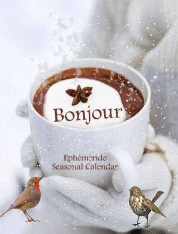 Bonjour Images  Screenshot