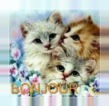 Bonjour Images  Screenshot