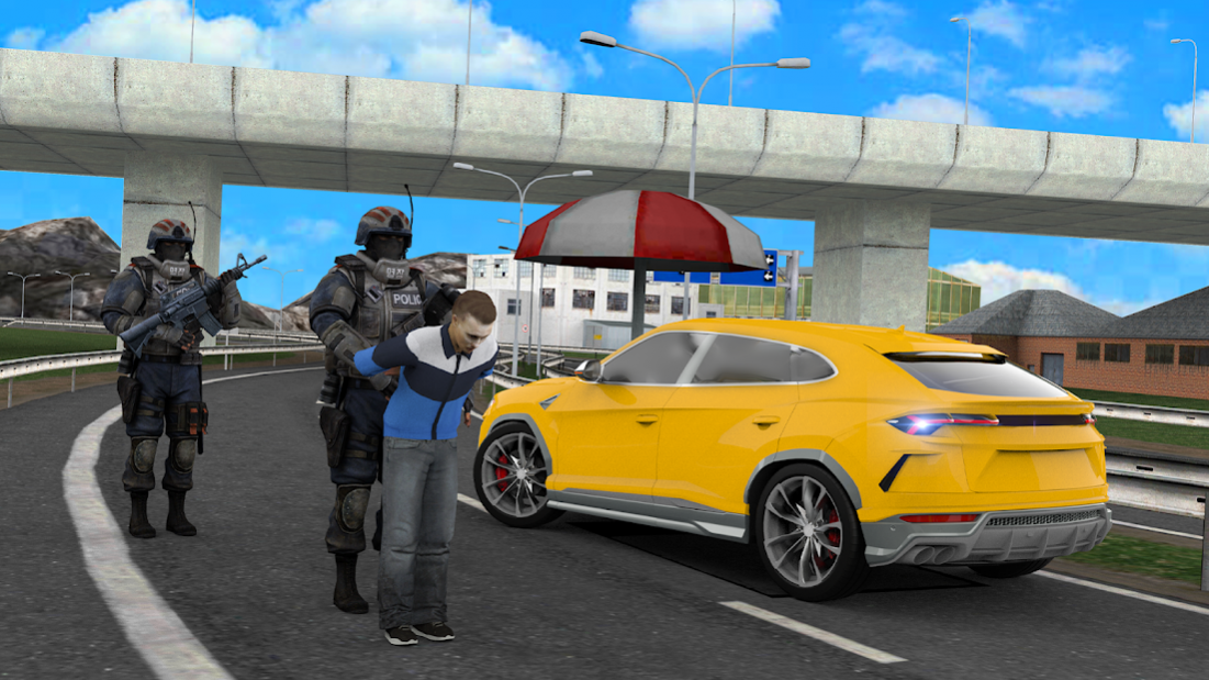 Border Patrol Police Simulator 1.0 Screenshot