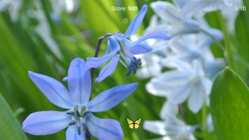 Brain Focus  Screenshot