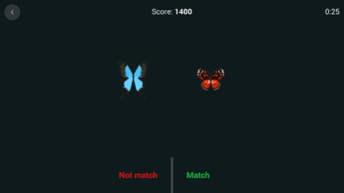 Brain Focus  Screenshot