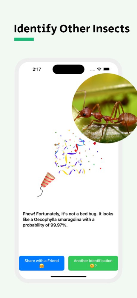Bug Identifier - Punaise 1.1 Screenshot