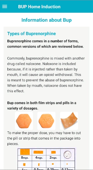 Starting Buprenorphine 1.1.11 Screenshot