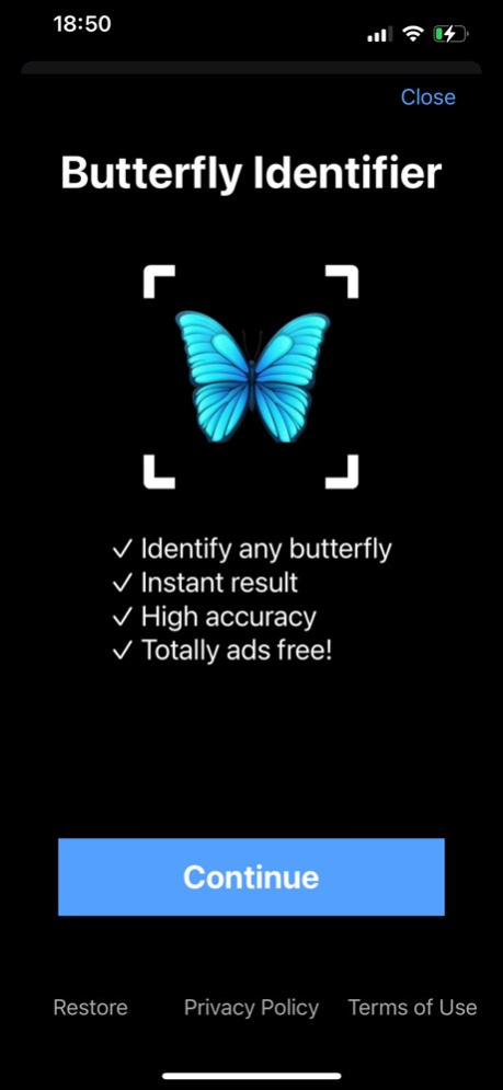 Butterfly Identifier: Moth ID  Screenshot