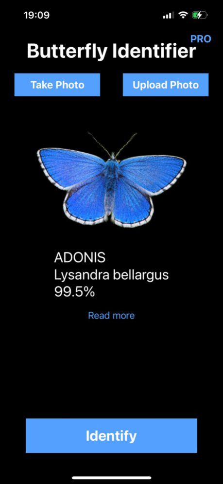 Butterfly Identifier: Moth ID  Screenshot