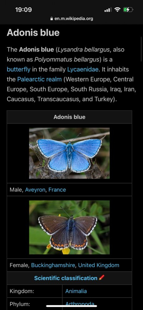Butterfly Identifier: Moth ID  Screenshot