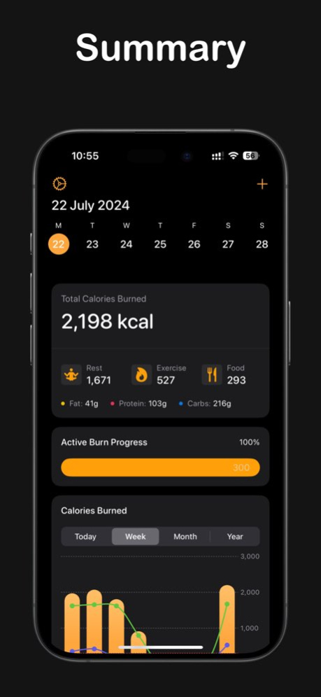 Calorimeter 1.0.21 Screenshot