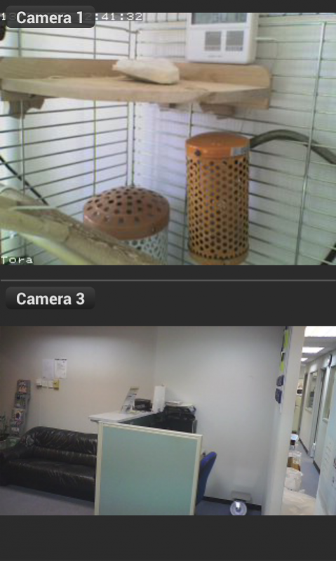 Cam Viewer for Linksys cameras 4.1 Screenshot