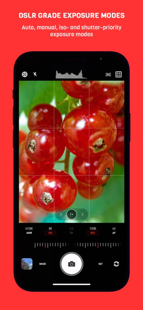 CameraPixels Lite 2026.1.1 Screenshot