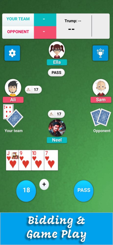 Card Game 29 6.25 Screenshot