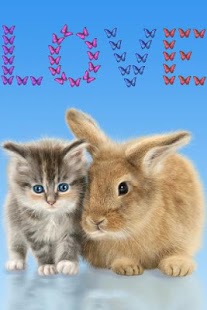 Cat and Bunny. Cute Wallpaper. 1.1.0 Screenshot