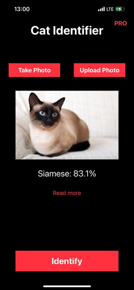 Cat Identifier: Kitty Breed ID  Screenshot