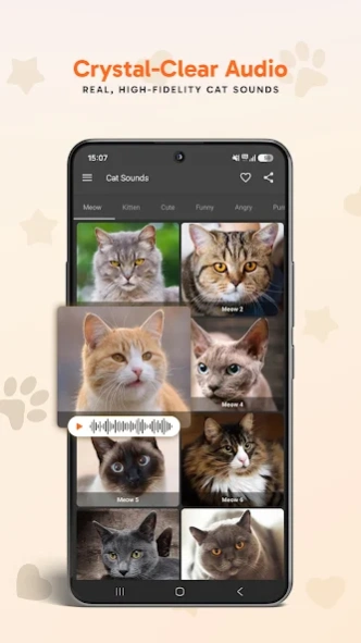 Cat Sounds 5.0.3 Screenshot