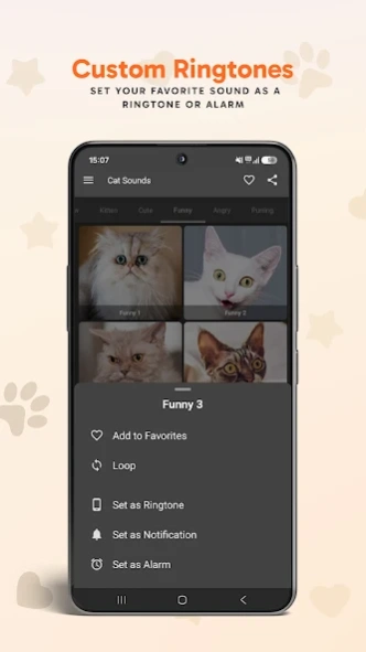 Cat Sounds 5.0.3 Screenshot
