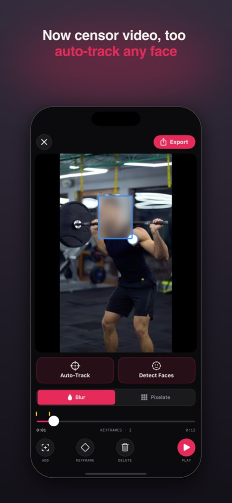 Censor This 4.0 Screenshot