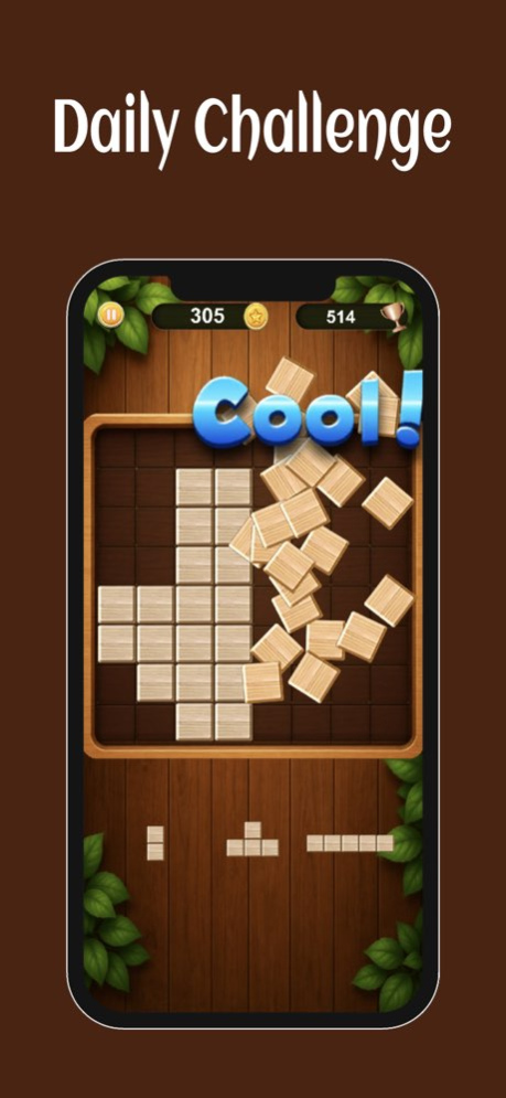 Classic Wooden Block Puzzle 2.5.3 Screenshot
