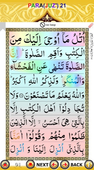 Color coded PARA 21 with Audio 2.0 Screenshot