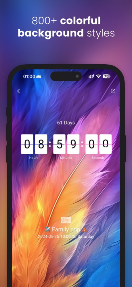 Daily Countdown - Event Widget 3.9.8 Screenshot