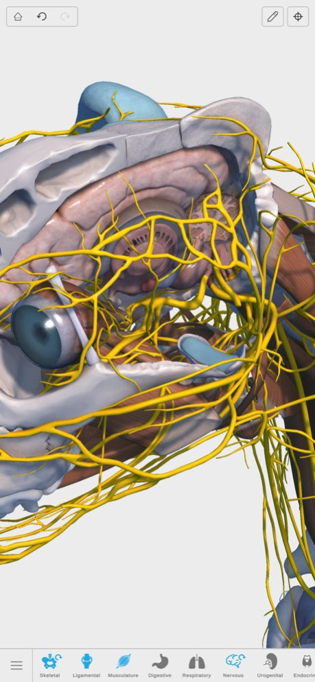 Complete Canine Anatomy 3D 1.6 Screenshot