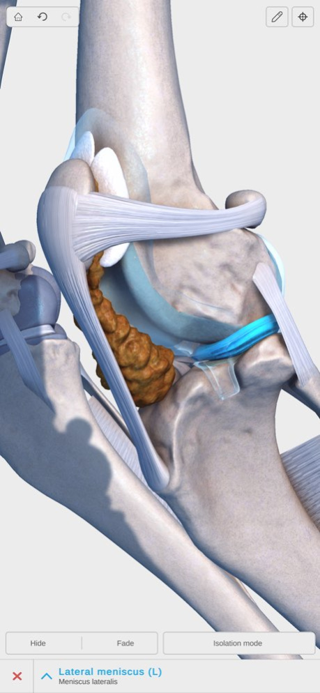 Complete Canine Anatomy 3D 1.6 Screenshot