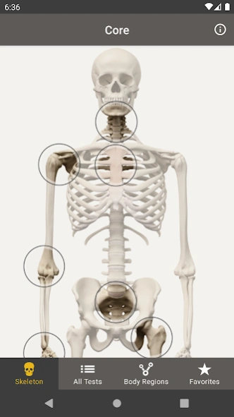 CORE-Clinical Orthopaedic Exam 4.3.0 Screenshot