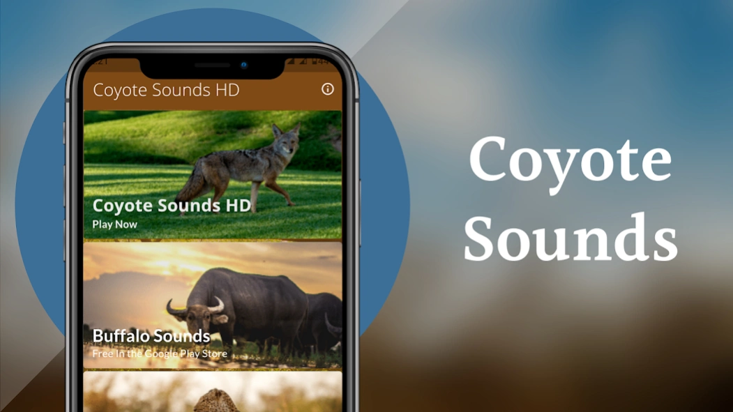 Coyote Sounds & Calls 4.1 Screenshot