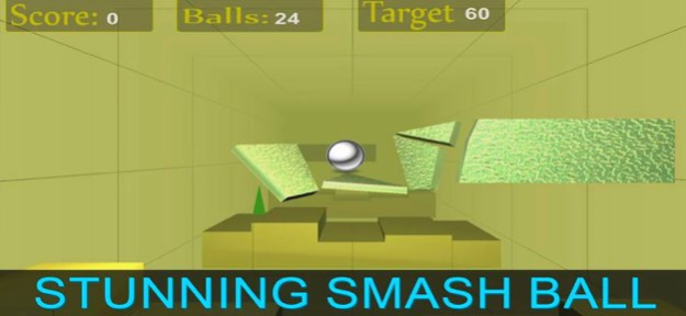 Crazy Smash Hit 3D 2024 1.7 Screenshot