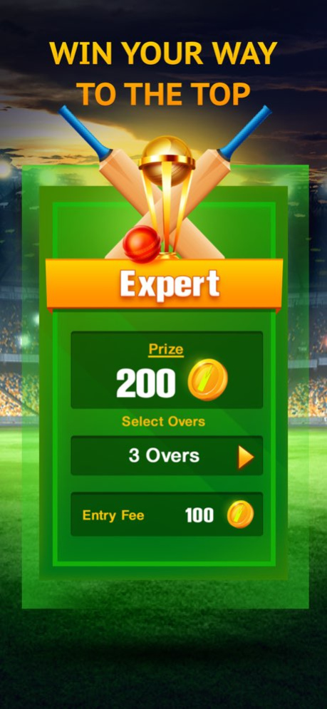Cricket Card Game 1.02 Screenshot