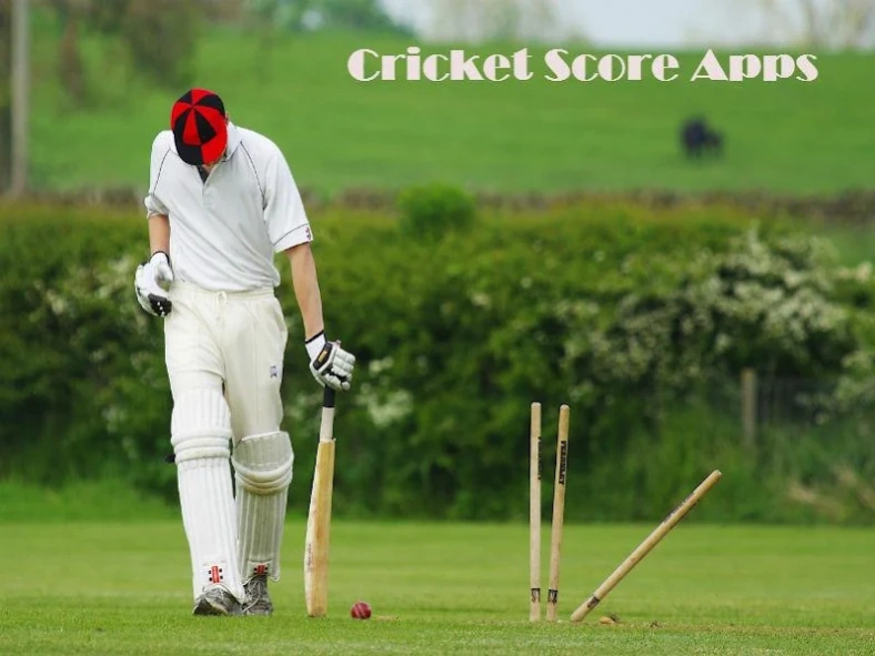 Cricket Score Apps 1.0 Screenshot