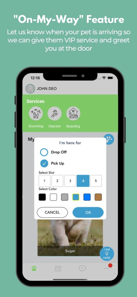 CS Kennels 2.9.52 Screenshot