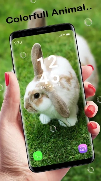 Cute Animal APUS Live Wallpape 1.0 Screenshot