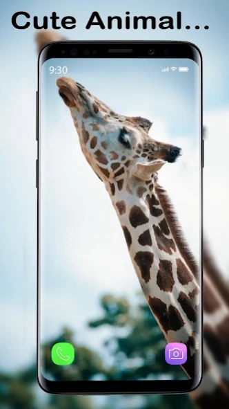 Cute Animal APUS Live Wallpape 1.0 Screenshot