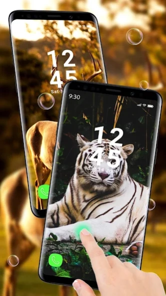 Cute Animal APUS Live Wallpape 1.0 Screenshot