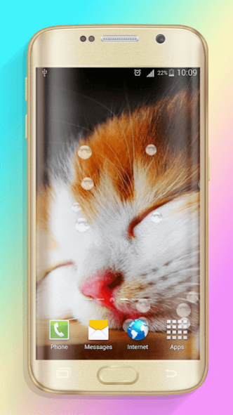 Cute Cats Live Wallpaper 1.3 Screenshot