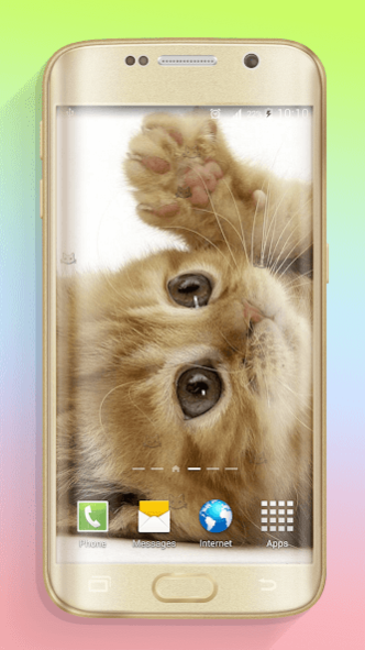 Cute Cats Live Wallpaper 1.3 Screenshot