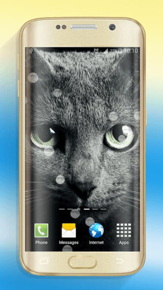 Cute Cats Live Wallpaper 1.3 Screenshot