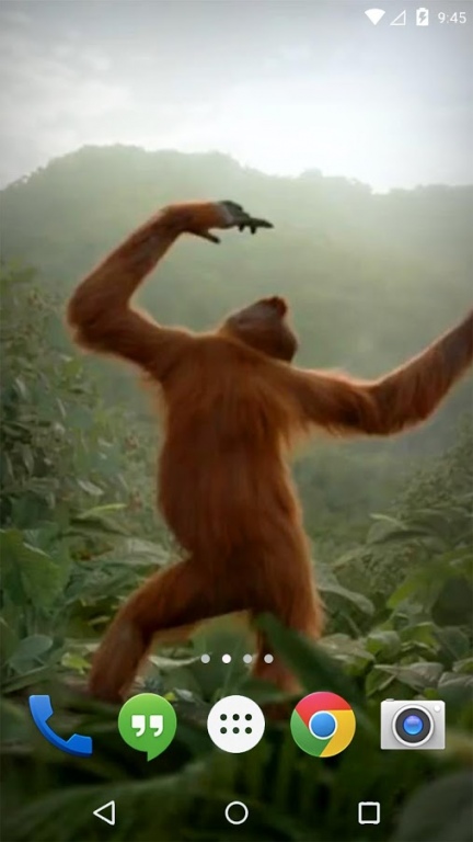 Dancing Monkey HD Live Wall 6.0 Screenshot