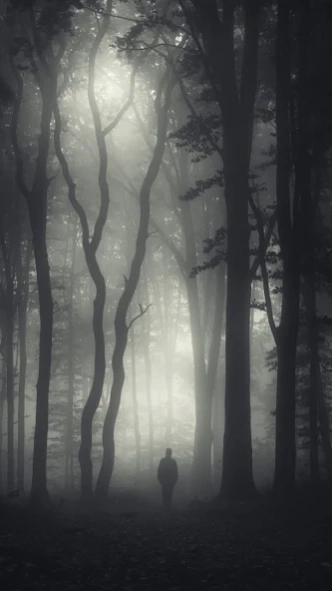 Dark Forest HD Wallpapers 1.0.2 Screenshot