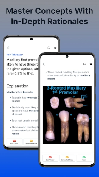 NBDHE - Dental Hygiene Mastery 12.00.7295 Screenshot