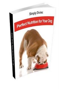 Dog Food Recipes 1.0 Screenshot