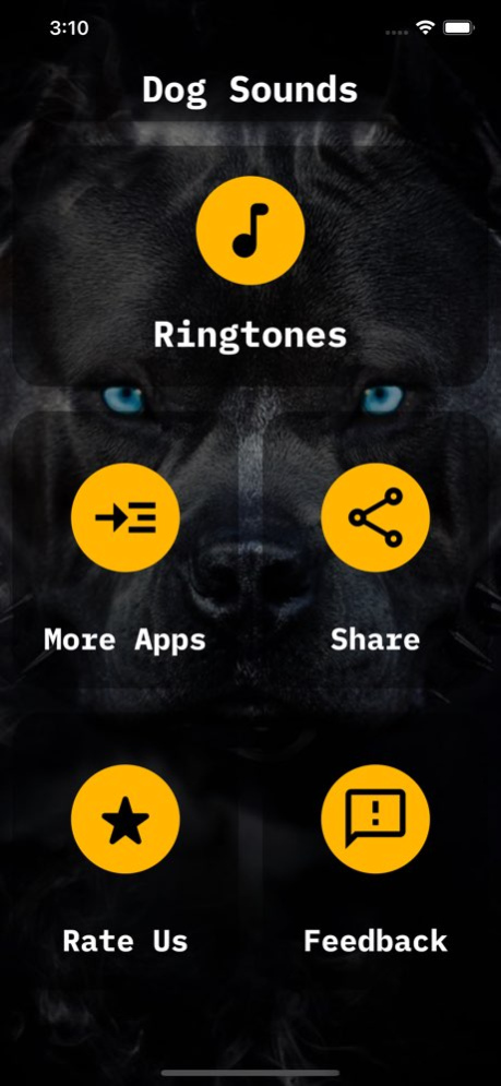Dog Sounds Ringtones  Screenshot